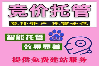 百度竞价运营的挑战与机遇：成功案例探讨